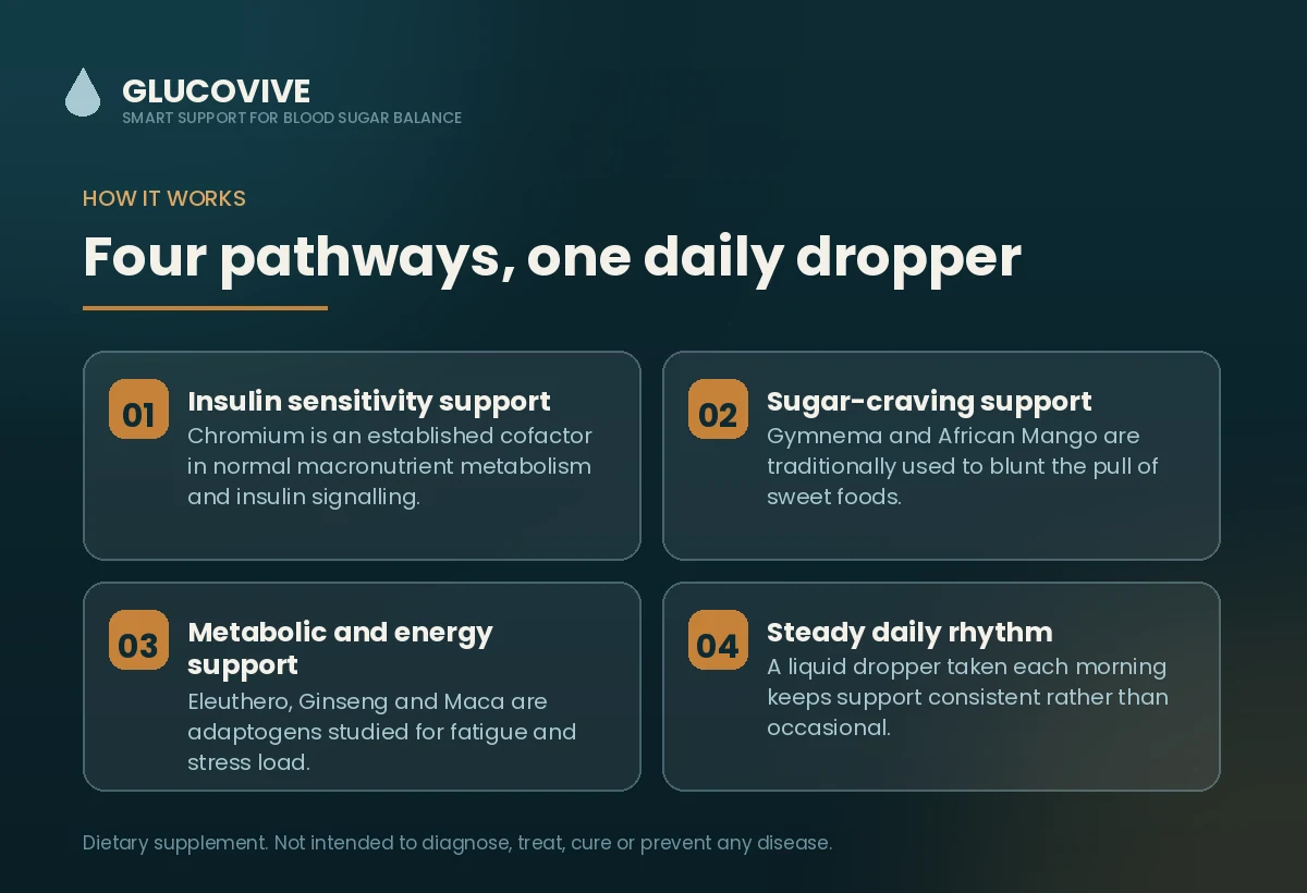 How Glucovive works - the four pathways behind the liquid formula